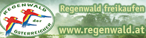 Regenwald